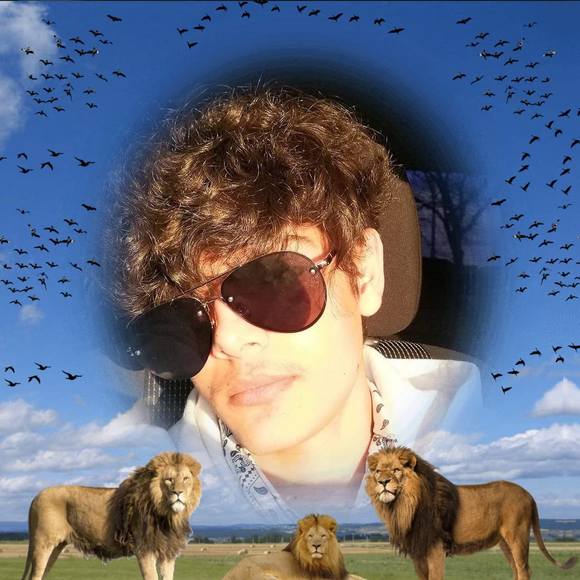 Meet your Posher, Bashar - Picture 1 of 1